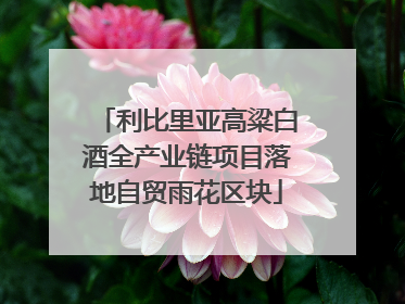 利比里亚高粱白酒全产业链项目落地自贸雨花区块