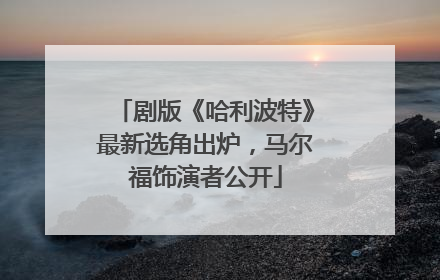 剧版《哈利波特》最新选角出炉，马尔福饰演者公开