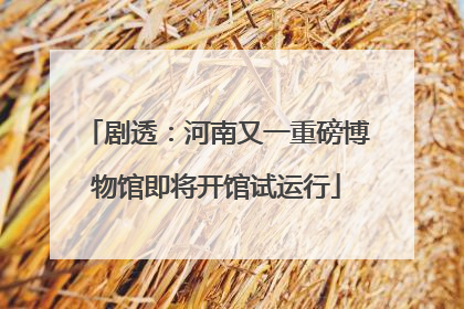 剧透：河南又一重磅博物馆即将开馆试运行