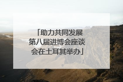 助力共同发展 第八届进博会座谈会在土耳其举办