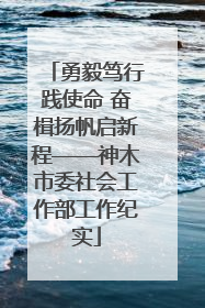 勇毅笃行践使命 奋楫扬帆启新程——神木市委社会工作部工作纪实