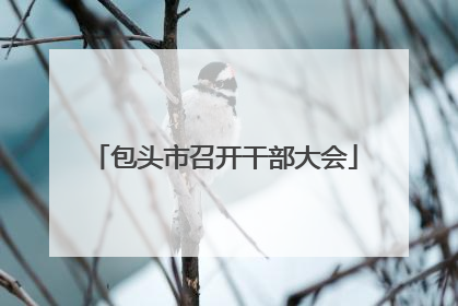 包头市召开干部大会