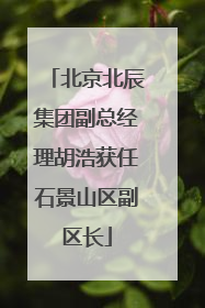 北京北辰集团副总经理胡浩获任石景山区副区长