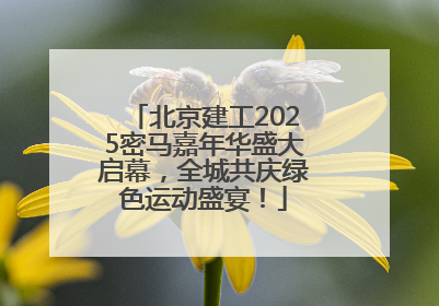 北京建工2025密马嘉年华盛大启幕，全城共庆绿色运动盛宴！
