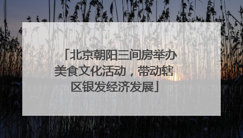 北京朝阳三间房举办美食文化活动，带动辖区银发经济发展