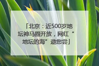 北京：近500岁地坛神马圈开放，网红“地坛的海”邀您尝