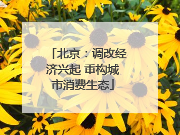 北京：调改经济兴起 重构城市消费生态