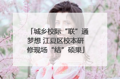 城乡校际“联”通梦想 江夏区校本研修现场“结”硕果