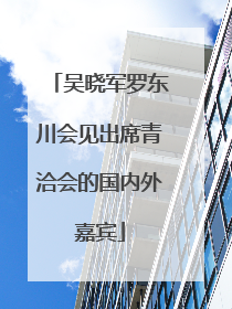 吴晓军罗东川会见出席青洽会的国内外嘉宾