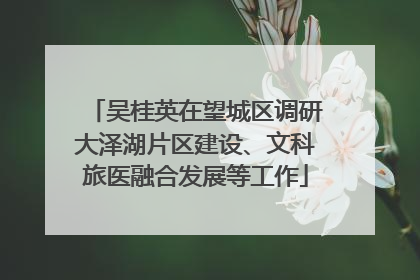 吴桂英在望城区调研大泽湖片区建设、文科旅医融合发展等工作