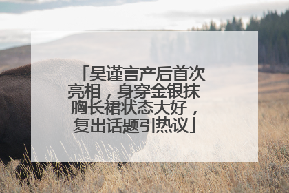 吴谨言产后首次亮相，身穿金银抹胸长裙状态大好，复出话题引热议