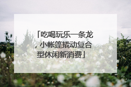 吃喝玩乐一条龙，小帐篷撬动复合型休闲新消费