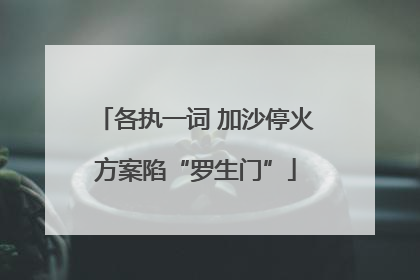 各执一词 加沙停火方案陷“罗生门”
