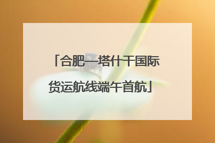合肥—塔什干国际货运航线端午首航