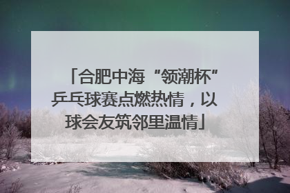 合肥中海“领潮杯”乒乓球赛点燃热情，以球会友筑邻里温情