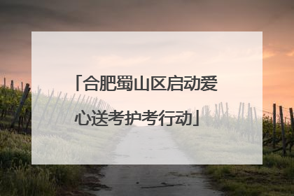 合肥蜀山区启动爱心送考护考行动