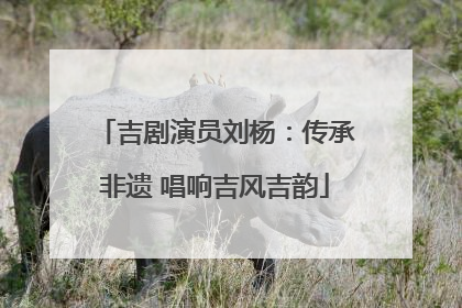 吉剧演员刘杨：传承非遗 唱响吉风吉韵