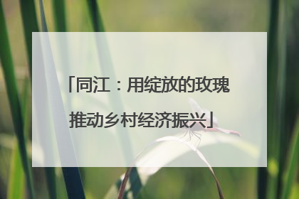 同江：用绽放的玫瑰 推动乡村经济振兴