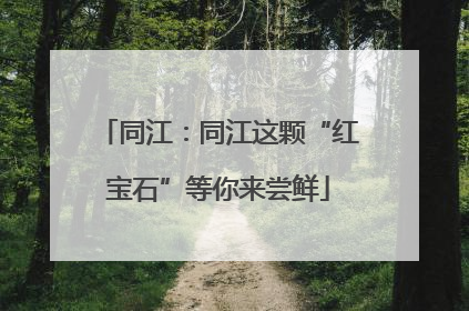 同江：同江这颗“红宝石”等你来尝鲜