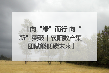 向“绿”而行 向“新”突破｜襄阳数产集团赋能低碳未来