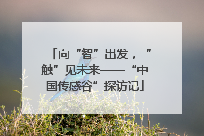 向“智”出发，“触”见未来——“中国传感谷”探访记
