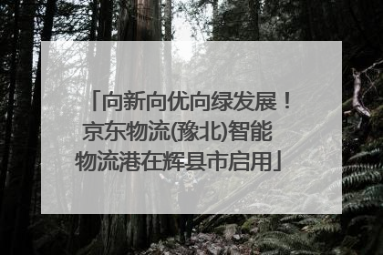 向新向优向绿发展！京东物流(豫北)智能物流港在辉县市启用