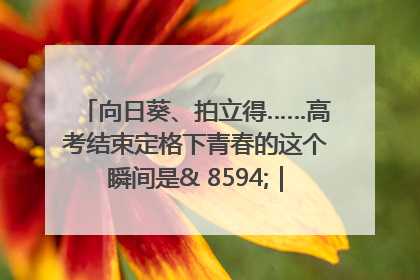 向日葵、拍立得……高考结束定格下青春的这个瞬间是& 8594;｜2025四川高考