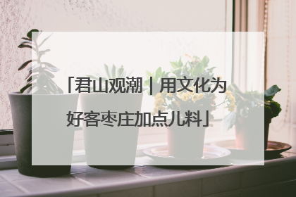 君山观潮｜用文化为好客枣庄加点儿料