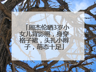 周杰伦晒3岁小女儿背影照，身穿格子裙，头扎小辫子，萌态十足