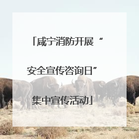咸宁消防开展“安全宣传咨询日”集中宣传活动