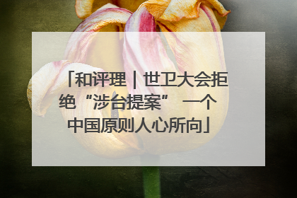 和评理｜世卫大会拒绝“涉台提案” 一个中国原则人心所向