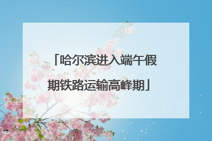 哈尔滨进入端午假期铁路运输高峰期