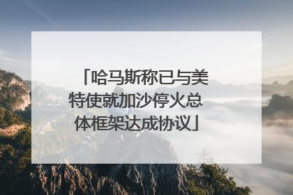 哈马斯称已与美特使就加沙停火总体框架达成协议