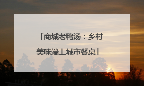 商城老鸭汤：乡村美味端上城市餐桌