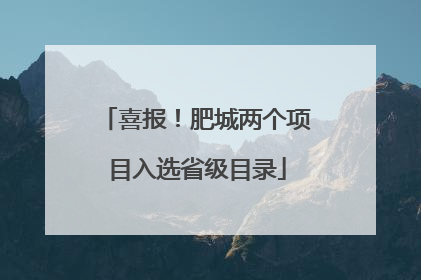 喜报！肥城两个项目入选省级目录