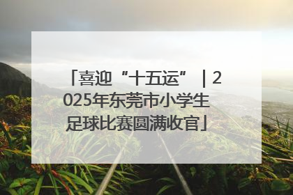 喜迎“十五运”｜2025年东莞市小学生足球比赛圆满收官