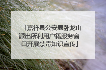 嘉祥县公安局卧龙山派出所利用户籍服务窗口开展禁毒知识宣传