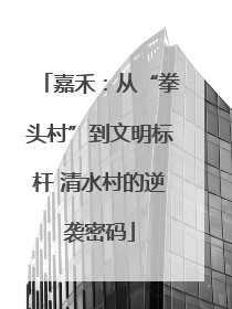 嘉禾：从“拳头村”到文明标杆 清水村的逆袭密码