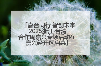 嘉台同行 智创未来 2025浙江·台湾合作周嘉兴专场活动在嘉兴经开区启幕