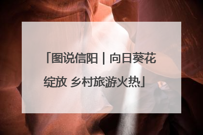 图说信阳｜向日葵花绽放 乡村旅游火热