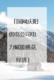 国网庆阳供电公司电力赋能桃花经济