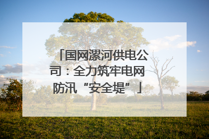 国网漯河供电公司：全力筑牢电网防汛“安全堤”