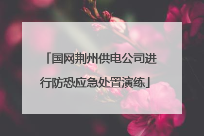 国网荆州供电公司进行防恐应急处置演练