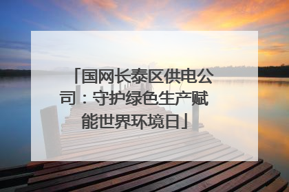 国网长泰区供电公司：守护绿色生产赋能世界环境日