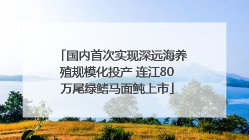 国内首次实现深远海养殖规模化投产 连江80万尾绿鳍马面鲀上市