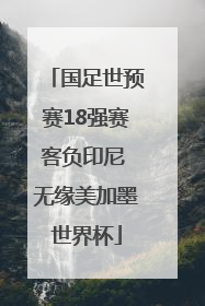 国足世预赛18强赛客负印尼 无缘美加墨世界杯