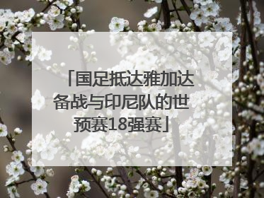 国足抵达雅加达备战与印尼队的世预赛18强赛