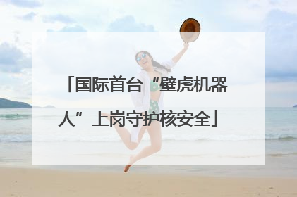 国际首台“壁虎机器人”上岗守护核安全