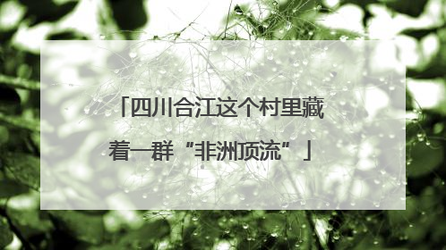 四川合江这个村里藏着一群“非洲顶流”