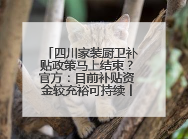 四川家装厨卫补贴政策马上结束？官方：目前补贴资金较充裕可持续丨民情瞭望